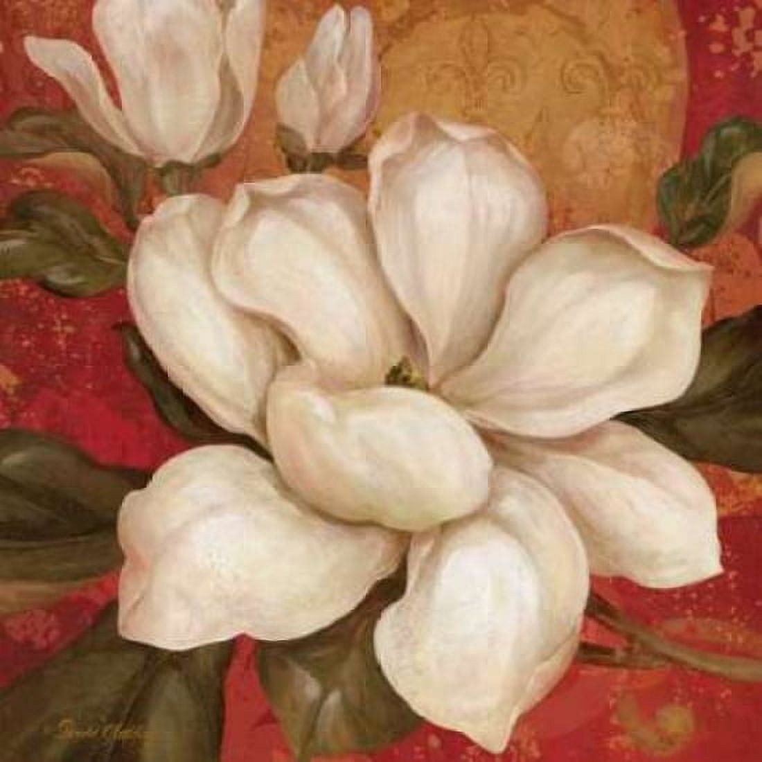 Magnolia on Red I Canvas Art - Pamela Gladding (24 x 24)
