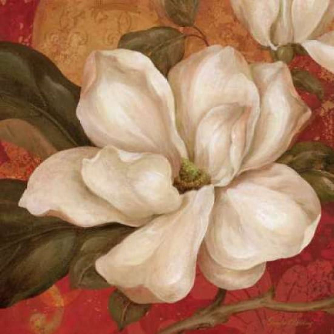 Magnolia on Red II Canvas Art - Pamela Gladding (24 x 24)