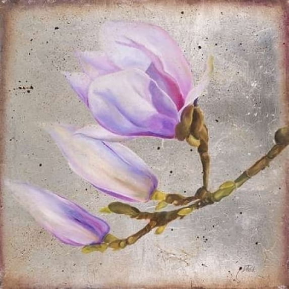 Magnolia on Silver Leaf I Poster Print by Patricia Pinto (12 x 12)