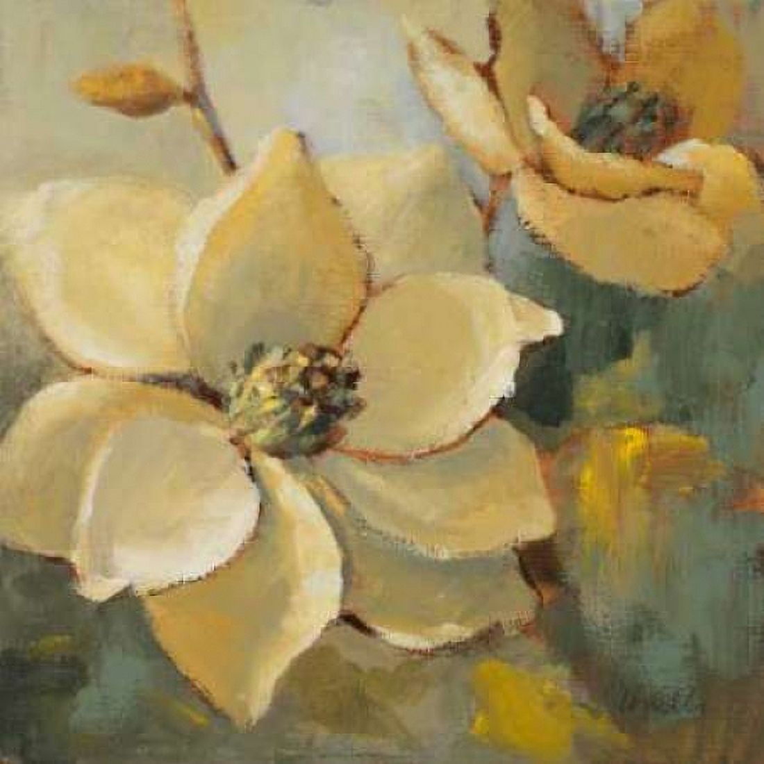 Magnolias After the Rain I Canvas Art - Lanie Loreth (24 x 24)