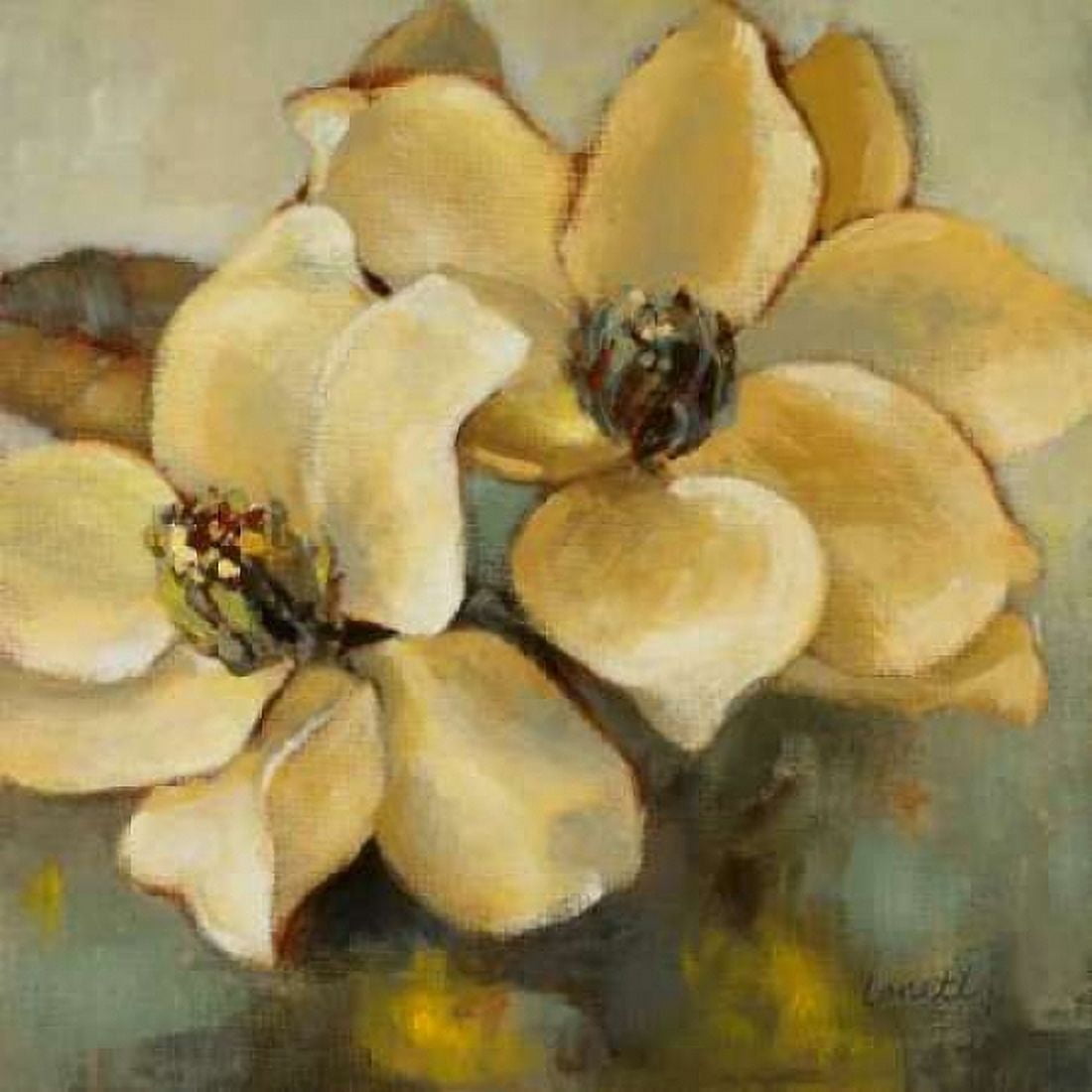 Magnolias After the Rain II Canvas Art - Lanie Loreth (24 x 24)