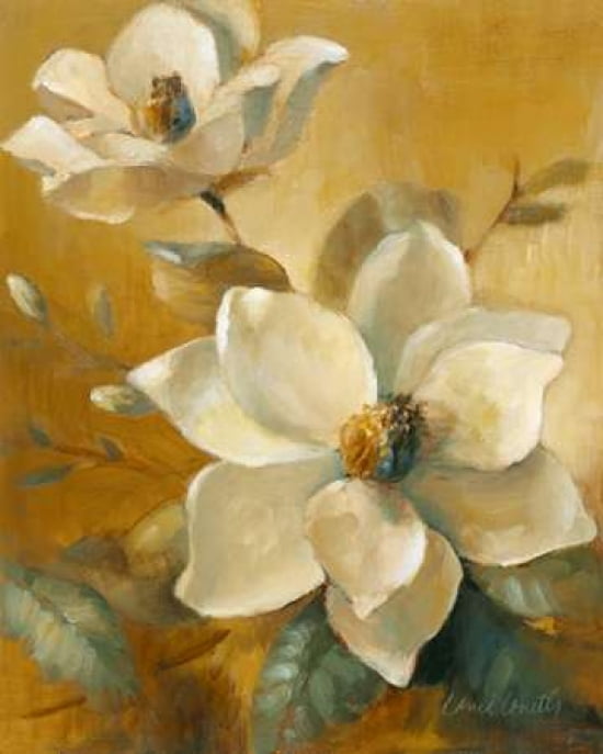 Magnolias Aglow at Sunset I Canvas Art - Lanie Loreth (24 x 30)