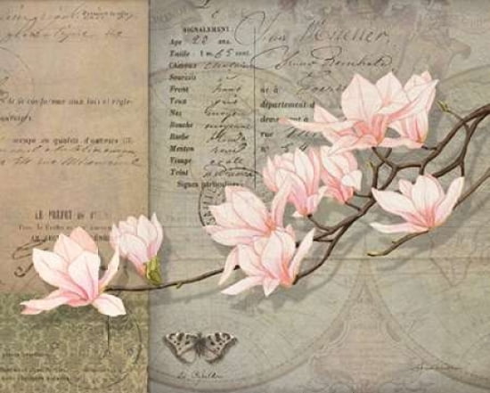 Magnolias Canvas Art - Lynnea Washburn (24 x 30)