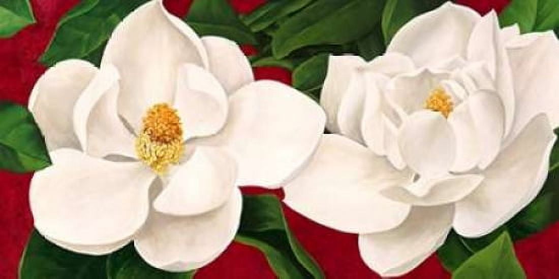 Magnolie in fiore Canvas Art - Luca Villa (10 x 20)