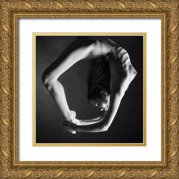 MagnusPhotos 20x20 Gold Ornate Wood Framed with Double Matting Museum Art Print Titled - O