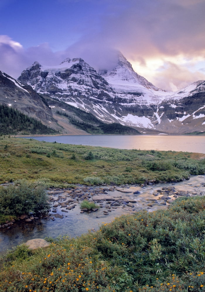 Magog Lake And Mt Assiniboine Mount Assiniboine Provincial Park British Columbia Canada Canvas Art - Darwin Wiggett Design Pics (22 x 32)