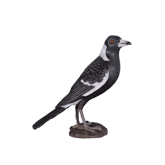 Magpie Crow Life Size Statue