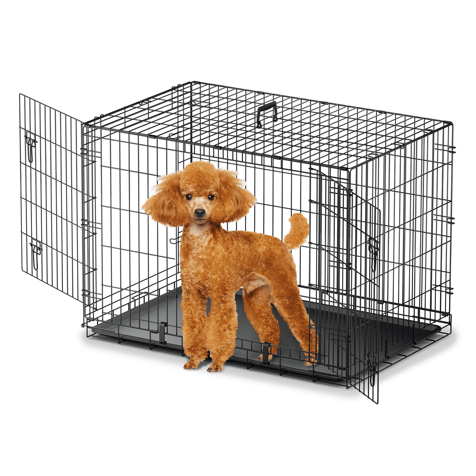 Black 42" Double Door Metal Dog Crate with Slide-out Tray