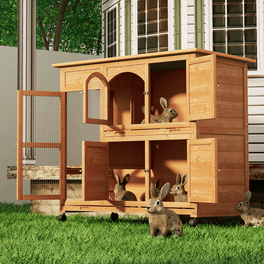 Lazy buddy rabbit hutch deals