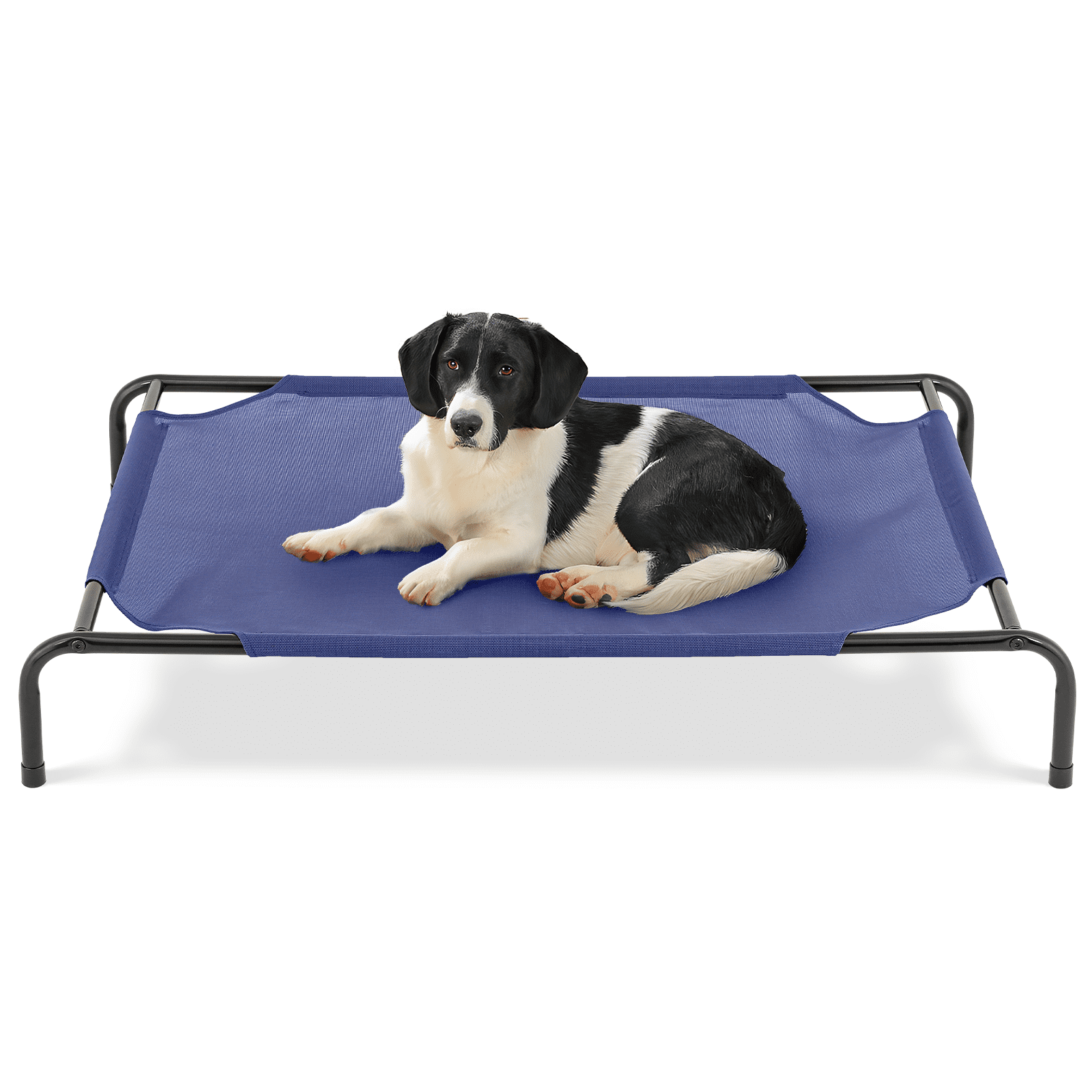 Fresh Look at Magshion Elevated Dog Bed Portable Indoor Outdoor Pet Hammock Bed