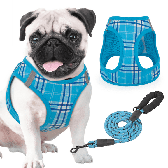 Magshion No Pull Dog Harness with Leash, No Choke Reflective Pet Vest Adjustable Breathable Mesh Harnesses Dogs Walking, Sky Blue L