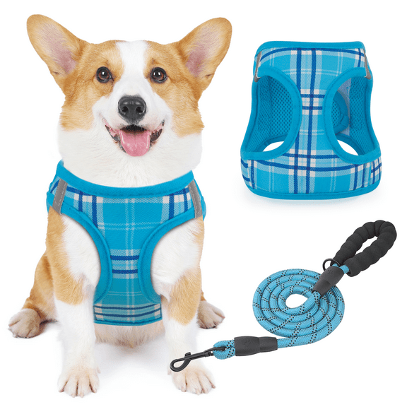Magshion No Pull Dog Harness with Leash, No Choke Reflective Pet Vest Adjustable Breathable Mesh Harnesses Dogs Walking, Sky Blue M