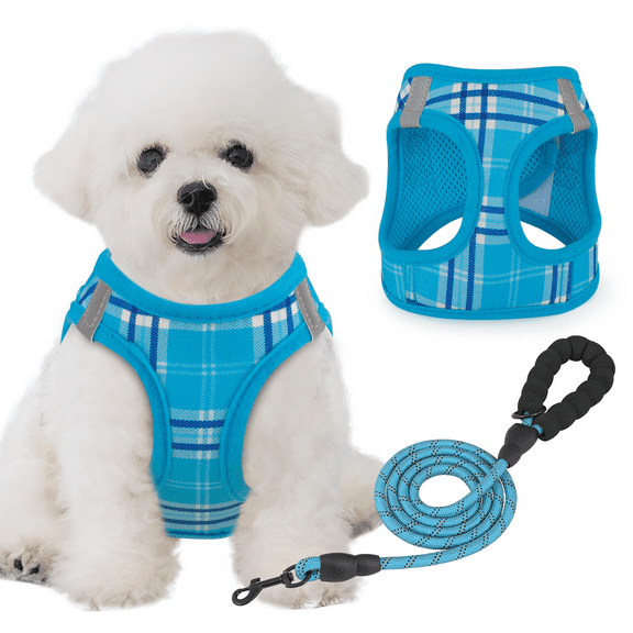 Magshion No Pull Dog Harness with Leash, No Choke Reflective Pet Vest Adjustable Breathable Mesh Harnesses Dogs Walking, Sky Blue XS