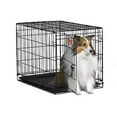 thumbnail image 1 of Magshion Travel Folding Metal Dog Crate Kennel House M-30 inch, 1 of 4