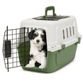 thumbnail image 1 of Magshion Two Door Top or Front Load Dog Kennel & Cat Kennel, 18'' Length (White & Forest Green), 1 of 10