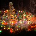 thumbnail image 1 of Magshion Waterproof Reusable Christmas Decoration Holiday 43ft String Light, Multiple/Warm Color Lights with Timer and 8 Mode Controller, with 100 Replaceable Bulbs, 1 of 10
