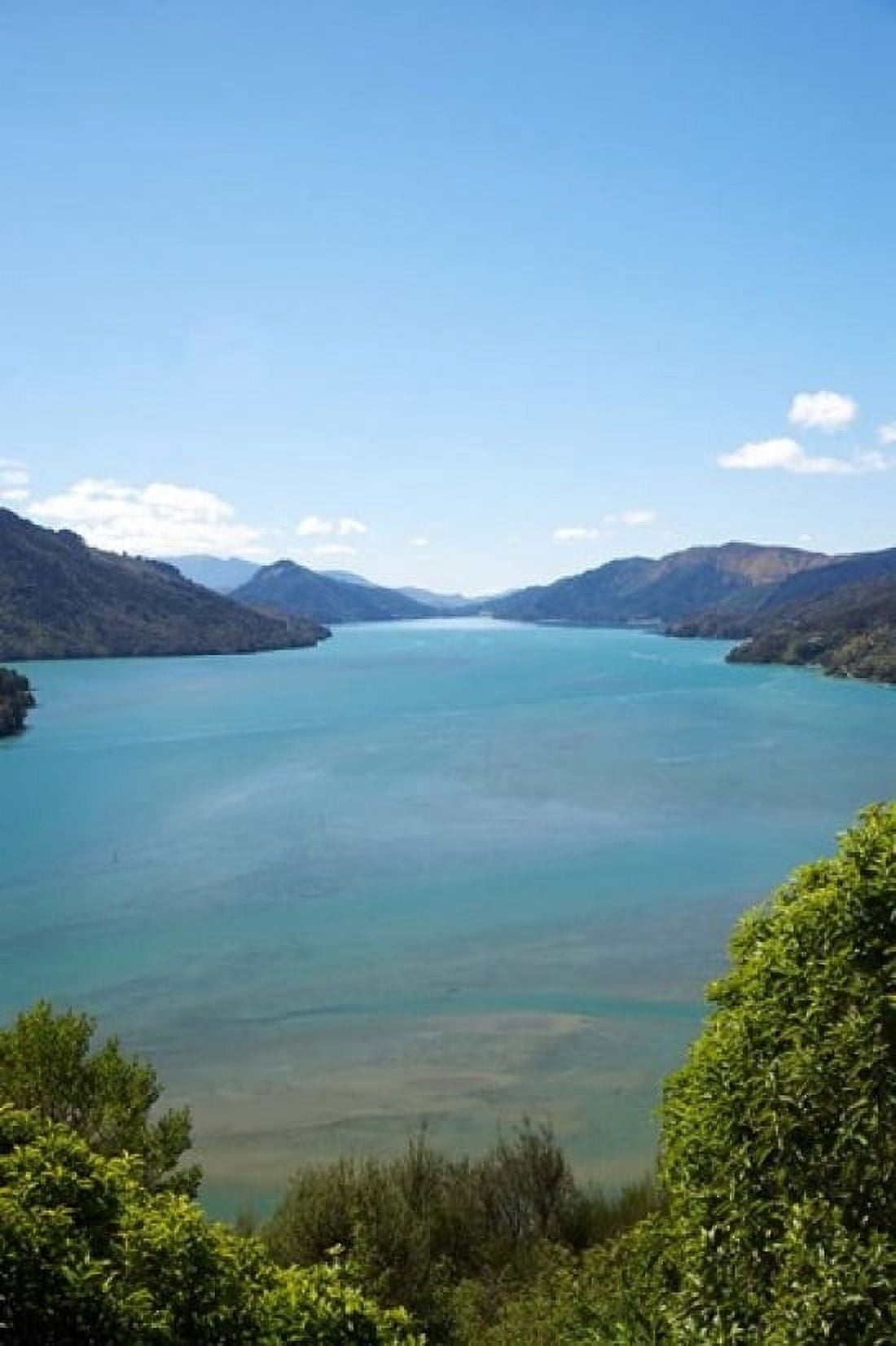 Mahakipawa Arm South Island New Zealand Canvas Art - David Wall DanitaDelimont (11 x 17)