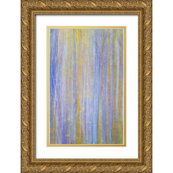 Mahan, Kathy 10x14 Gold Ornate Wood Framed with Double Matting Museum Art Print Titled - Forest Blur I