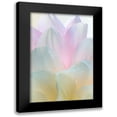 thumbnail image 1 of Mahan, Kathy 11x14 Black Modern Framed Museum Art Print Titled - Dahlia Blossom II, 1 of 5