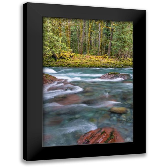 Mahan, Kathy 11x14 Black Modern Framed Museum Art Print Titled - NF Skokomish River IV