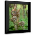 thumbnail image 1 of Mahan, Kathy 11x14 Black Modern Framed Museum Art Print Titled - Sword Fern II, 1 of 5