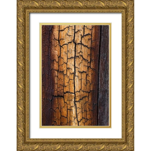 Mahan, Kathy 11x14 Gold Ornate Wood Framed with Double Matting Museum Art Print Titled - Pine Patterns II