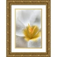 thumbnail image 1 of Mahan, Kathy 11x14 Gold Ornate Wood Framed with Double Matting Museum Art Print Titled - White Crocus Blossoms II, 1 of 4