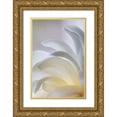 thumbnail image 1 of Mahan, Kathy 11x14 Gold Ornate Wood Framed with Double Matting Museum Art Print Titled - White Magnolia, 1 of 4