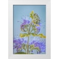 thumbnail image 1 of Mahan, Kathy 11x14 White Modern Wood Framed Museum Art Print Titled - Caryopteris V, 1 of 4