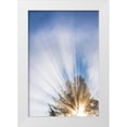 thumbnail image 1 of Mahan, Kathy 11x14 White Modern Wood Framed Museum Art Print Titled - Sunburst I, 1 of 4