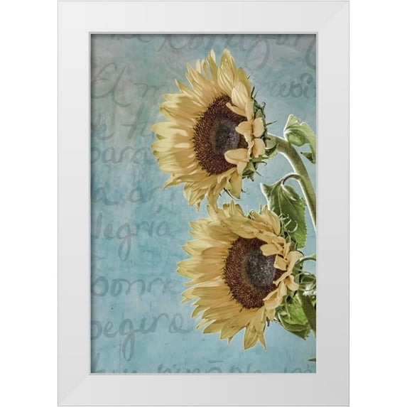 Mahan, Kathy 11x14 White Modern Wood Framed Museum Art Print Titled - Sunflowers II