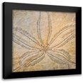 thumbnail image 1 of Mahan, Kathy 12x12 Black Modern Framed Museum Art Print Titled - Sand Dollar Design, 1 of 5
