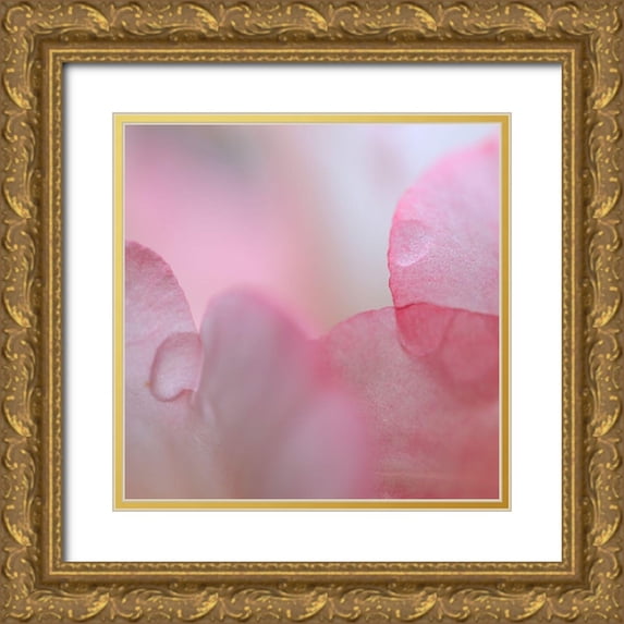 Mahan, Kathy 12x12 Gold Ornate Wood Framed with Double Matting Museum Art Print Titled - Rhododendron Blossom II