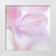 thumbnail image 1 of Mahan, Kathy 12x12 White Modern Wood Framed Museum Art Print Titled - Pink Hydrangea I, 1 of 4