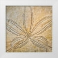 thumbnail image 1 of Mahan, Kathy 12x12 White Modern Wood Framed Museum Art Print Titled - Sand Dollar Design, 1 of 4