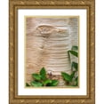 thumbnail image 1 of Mahan, Kathy 12x14 Gold Ornate Wood Framed with Double Matting Museum Art Print Titled - Paper Birch Bark II, 1 of 4
