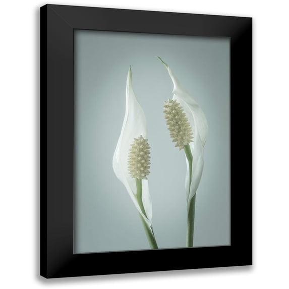 Mahan, Kathy 13x18 Black Modern Framed Museum Art Print Titled - Peace Lily II