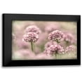 thumbnail image 1 of Mahan, Kathy 14x11 Black Modern Framed Museum Art Print Titled - Sea Thrift I, 1 of 5