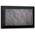 thumbnail image 1 of Mahan, Kathy 14x11 Black Modern Framed Museum Art Print Titled - Winter Tree Limbs II, 1 of 5