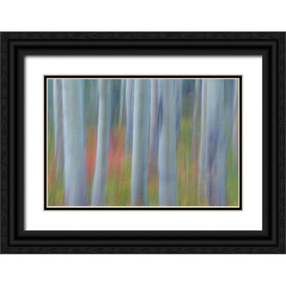 Mahan, Kathy 14x11 Black Ornate Wood Framed with Double Matting Museum Art Print Titled - Aspen in Motion II