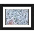 thumbnail image 1 of Mahan, Kathy 14x11 Black Ornate Wood Framed with Double Matting Museum Art Print Titled - Maple Leaf and Frost II, 1 of 4