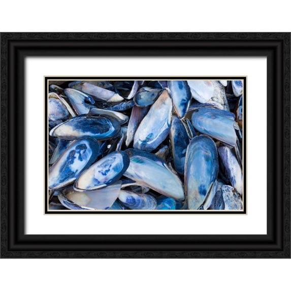 Mahan, Kathy 14x11 Black Ornate Wood Framed with Double Matting Museum Art Print Titled - Mussels I