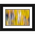 thumbnail image 1 of Mahan, Kathy 14x11 Black Ornate Wood Framed with Double Matting Museum Art Print Titled - Reflections of Fall I, 1 of 4