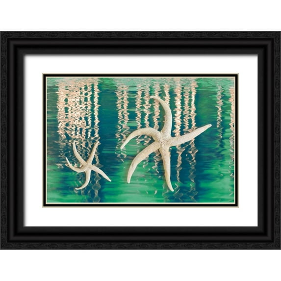 Mahan, Kathy 14x11 Black Ornate Wood Framed with Double Matting Museum Art Print Titled - Starfish on Water I