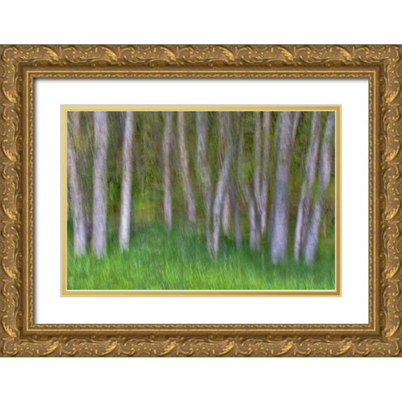 Mahan, Kathy 14x11 Gold Ornate Wood Framed with Double Matting Museum Art Print Titled - Alder Forest II