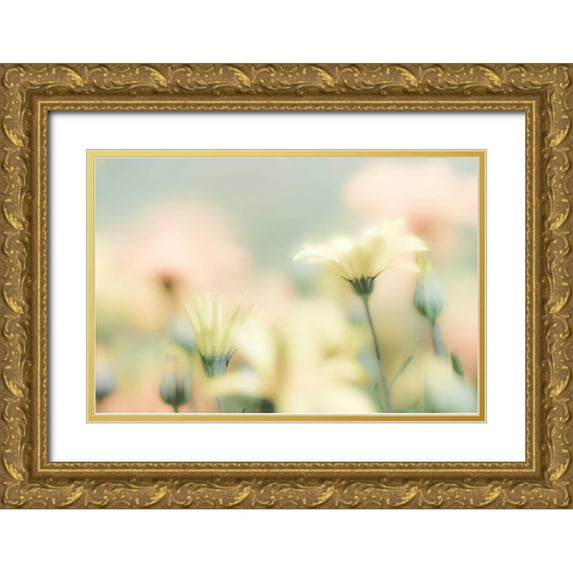 Mahan, Kathy 14x11 Gold Ornate Wood Framed with Double Matting Museum Art Print Titled - Desert Flowers I