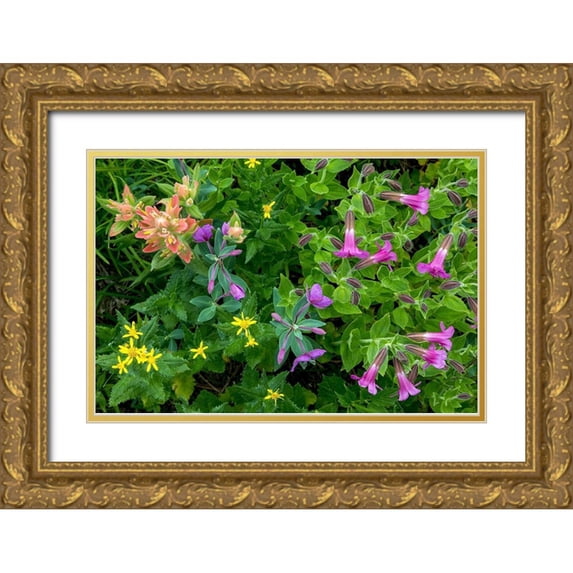 Mahan, Kathy 14x11 Gold Ornate Wood Framed with Double Matting Museum Art Print Titled - Wildflower Meadow II
