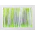 thumbnail image 1 of Mahan, Kathy 14x11 White Modern Wood Framed Museum Art Print Titled - Aspen Blur I, 1 of 4