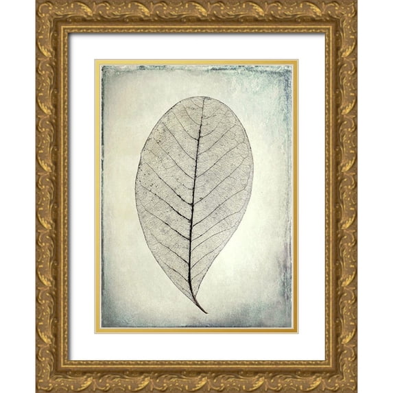 Mahan, Kathy 14x18 Gold Ornate Wood Framed with Double Matting Museum Art Print Titled - Skeletonized leaf