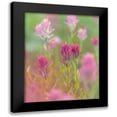 thumbnail image 1 of Mahan, Kathy 15x18 Black Modern Framed Museum Art Print Titled - Indian Paintbrush II, 1 of 5